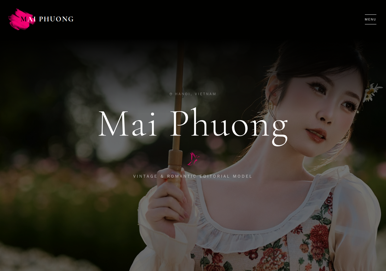 Preview of the Boudoir template